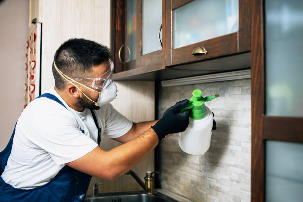 Best Residential Pest Control  in Punta Rassa, FL