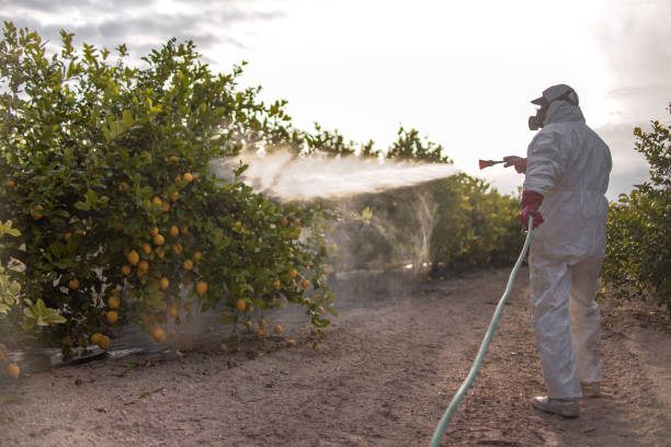 Best Best Pest Control Near Me  in Punta Rassa, FL