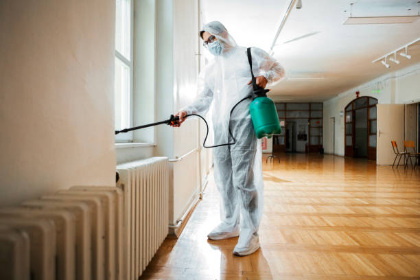 Best Pest Control Near Me in Punta Rassa, FL