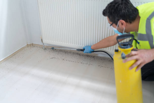 Best Bed Bug Extermination  in Punta Rassa, FL