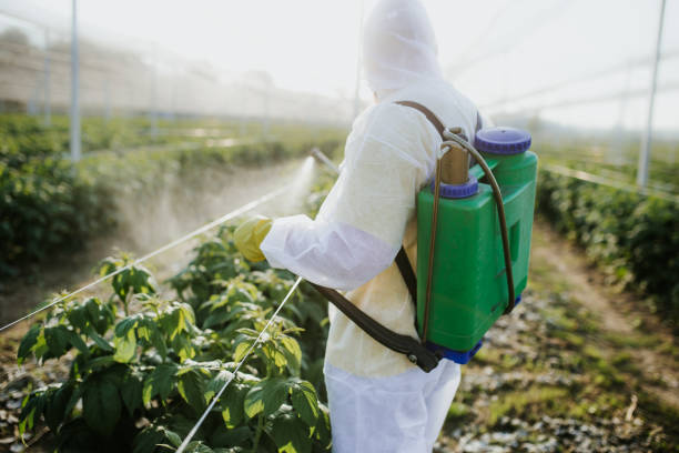 Professional Pest Control in Punta Rassa, FL